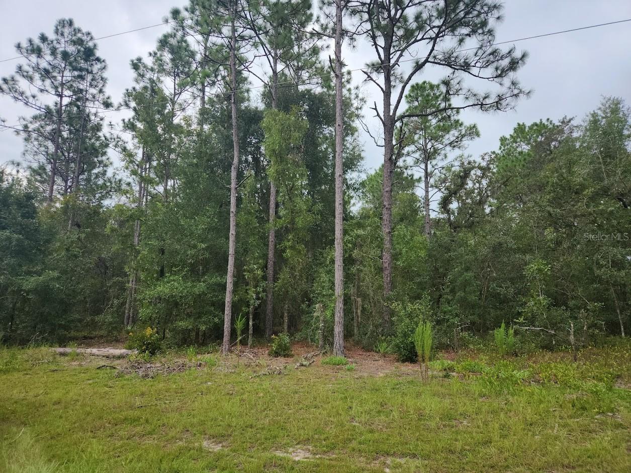Fantastic opportunity to own a 1/4 acre Lot in the growing community of Marion Oaks, Ocala. Located near fast developments and new construction, this lot is positioned in the back of the Timber Walk area with no development behind the lot. Ideal for building your dream home or as an investment in an area with increasing demand. Close to shopping, schools, and easy access to major highways, this property offers both convenience and long-term growth potential. No H.O.A. Zoned R-1 for houses only, no mobile homes.
