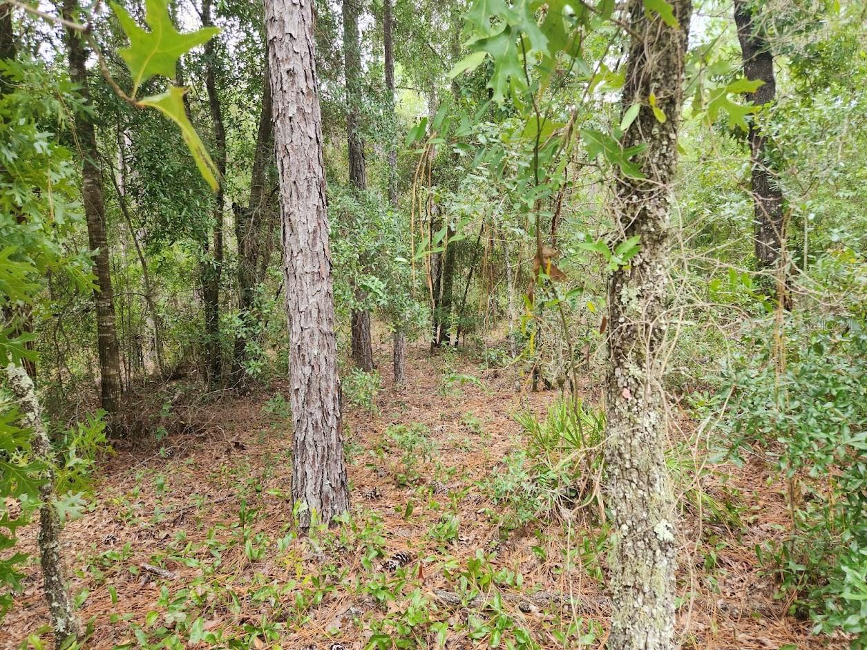 lot 24 SW 89TH CIRCLE