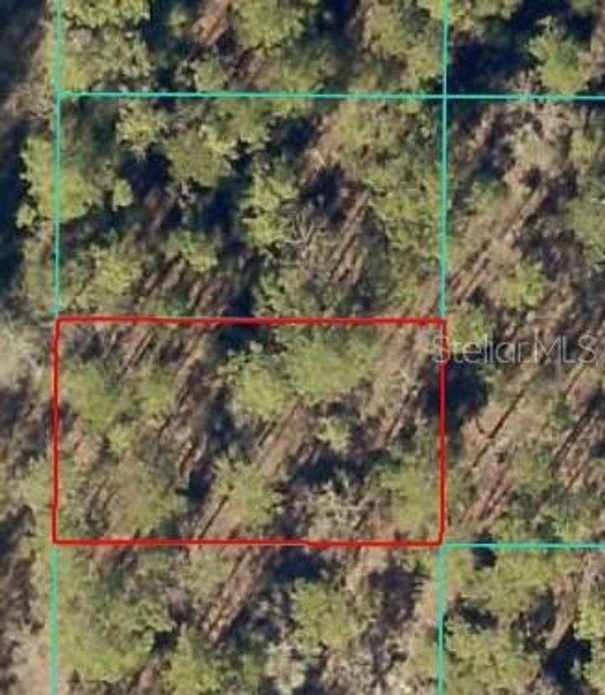 Discover the perfect spot to create your dream home or investment property in the desirable Rainbow Park area. This spacious vacant lot offers a peaceful, rural setting while still being just a short drive from Ocala, shopping, dining, and local attractions. Power lines pass do not pass by the property. A well and septic tank will be needed to complete your build, giving you the flexibility to design your utilities exactly as you like. A member/manager of the owning LLC is a licensed real estate agent.