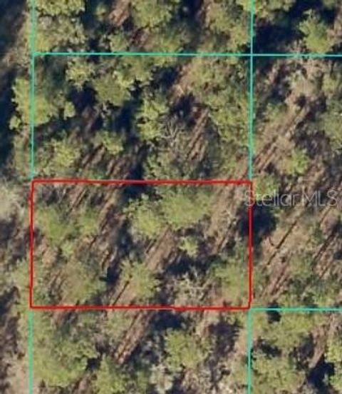 00 SW 156 AVENUE OCALA FL 34481
