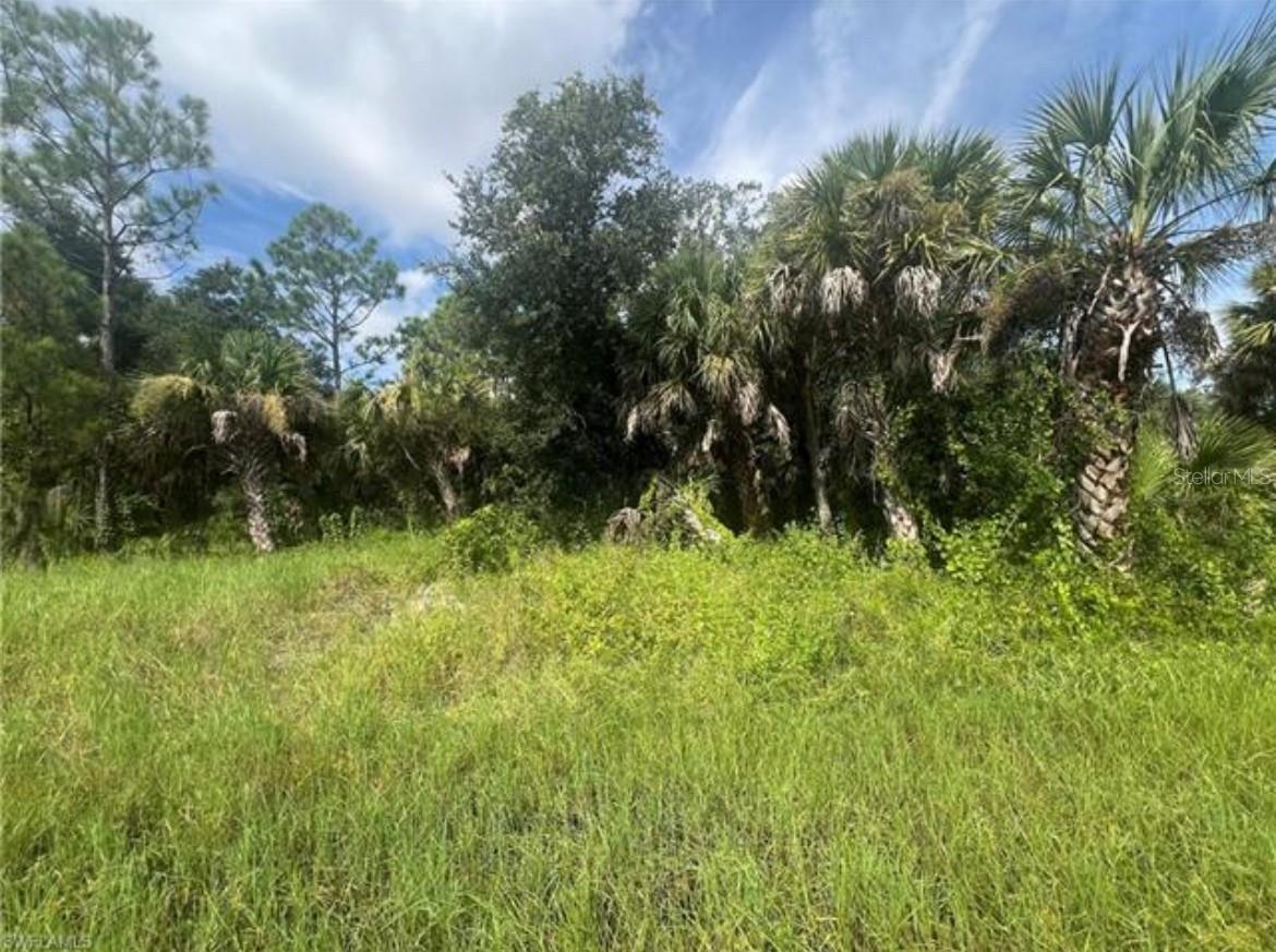 PORT CHARLOTTE SEC 017 - Land