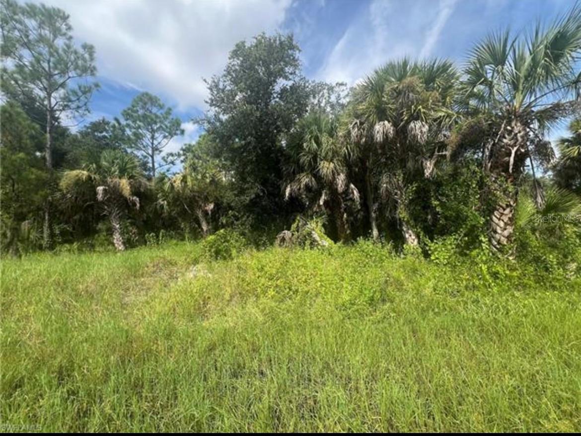 PORT CHARLOTTE SEC 017 - Land