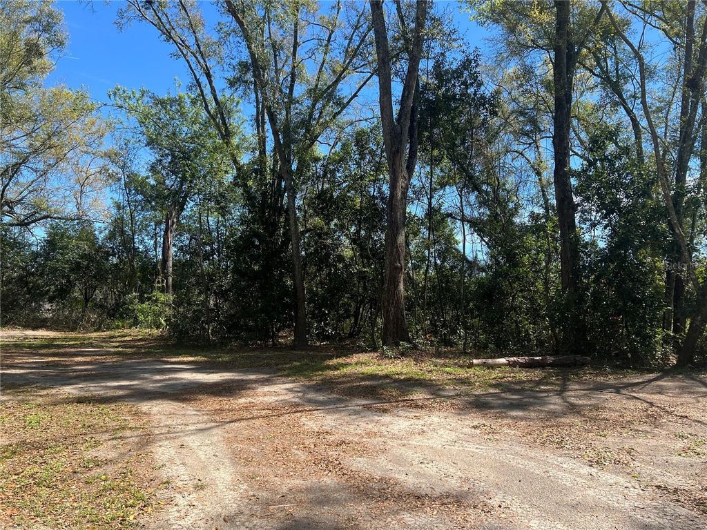 Photo of 10304 NW 25th Court, Branford, FL 32008 (MLS # GC538287)