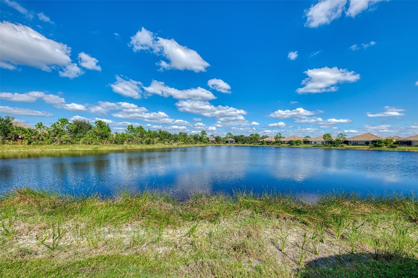 GRAND PALM - Residential