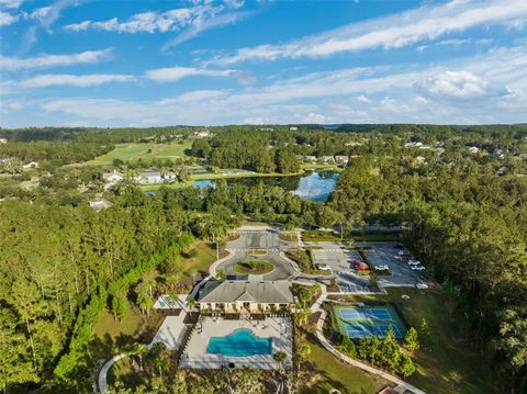 A home in BROOKSVILLE