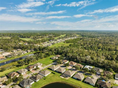 A home in BROOKSVILLE