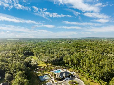 A home in BROOKSVILLE