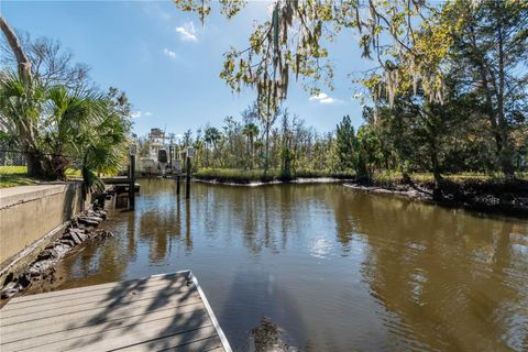 A home in CRYSTAL RIVER