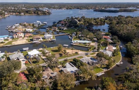 A home in CRYSTAL RIVER