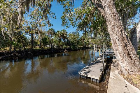 A home in CRYSTAL RIVER