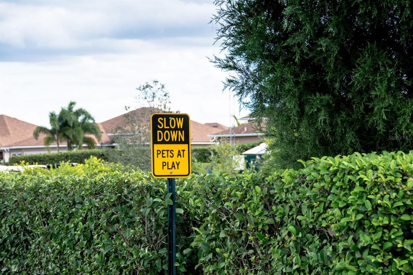 LAKE ASHTON GOLF CLUB PH 01 - Residential