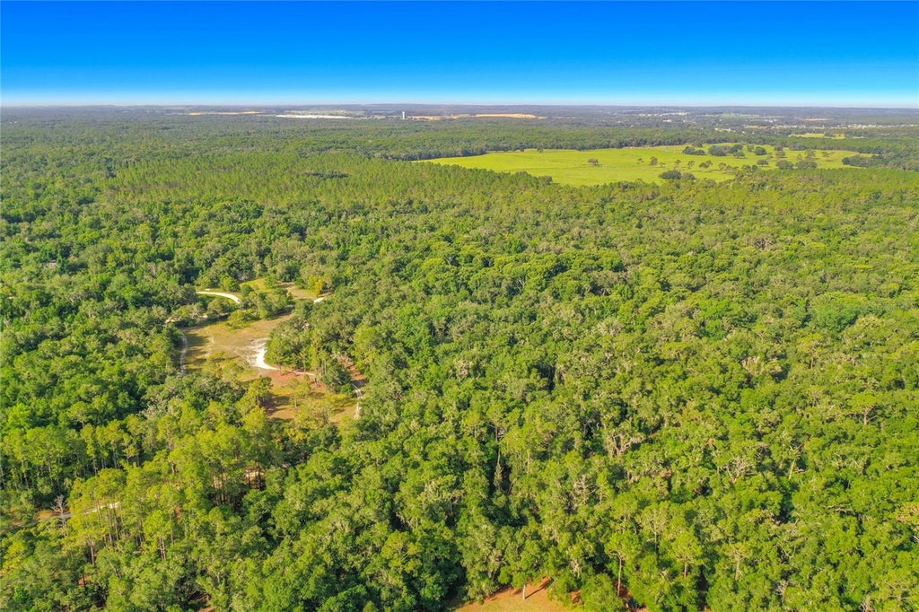 Photo of 33099 Coral Rock Drive, Webster, FL 33597 (MLS # TB8526123)