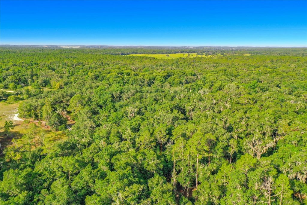 Photo of 33099 Coral Rock Drive, Webster, FL 33597 (MLS # TB8526123)