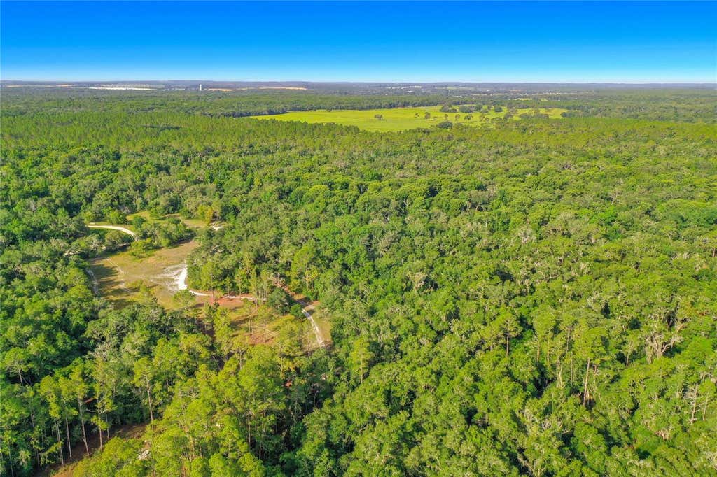 Photo of 33099 Coral Rock Drive, Webster, FL 33597 (MLS # TB8526123)
