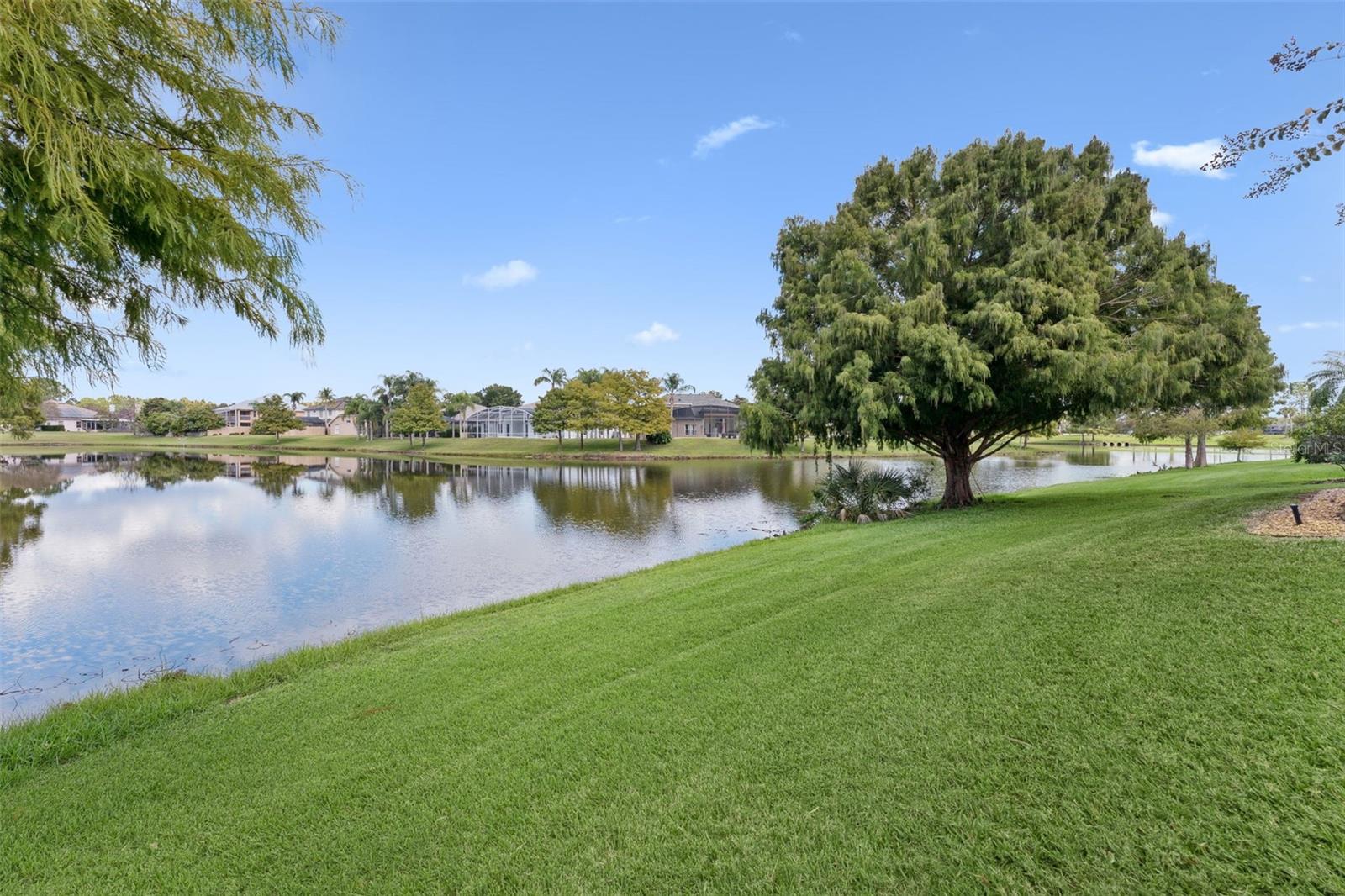 WATERFORD LAKES TR N30 - Residential