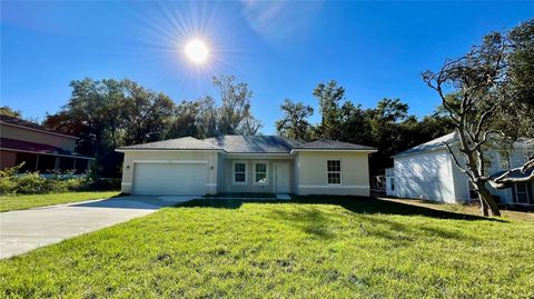 A home in CITRUS SPRINGS