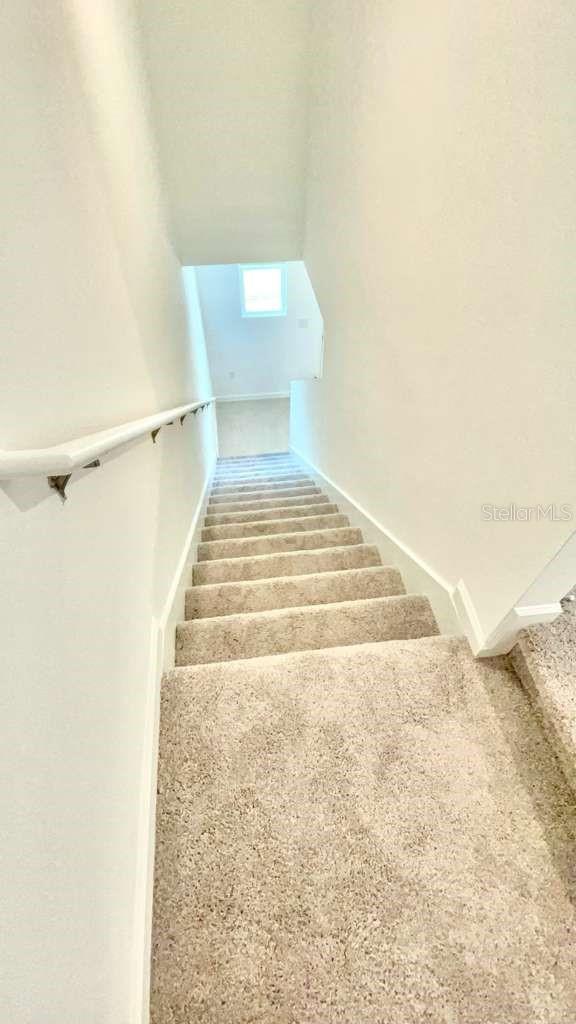 TEMPLES XING - Residential Lease