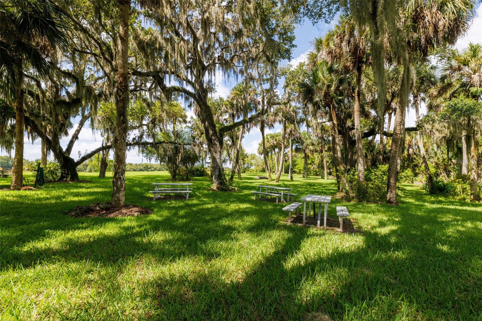 DUKE HWY - Residential