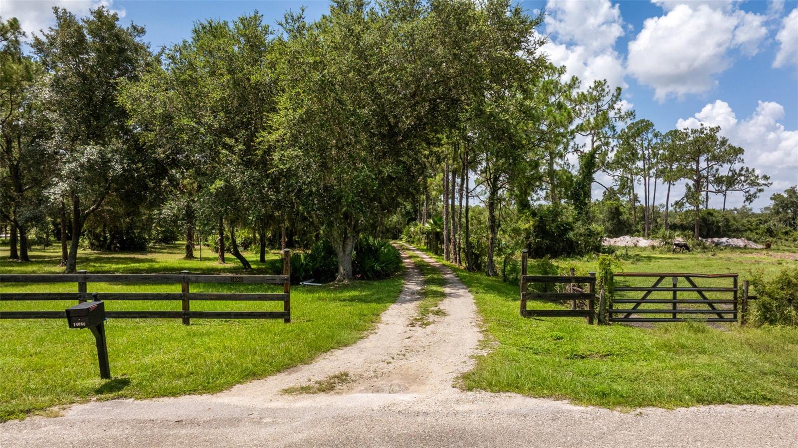 DUKE HWY - Residential