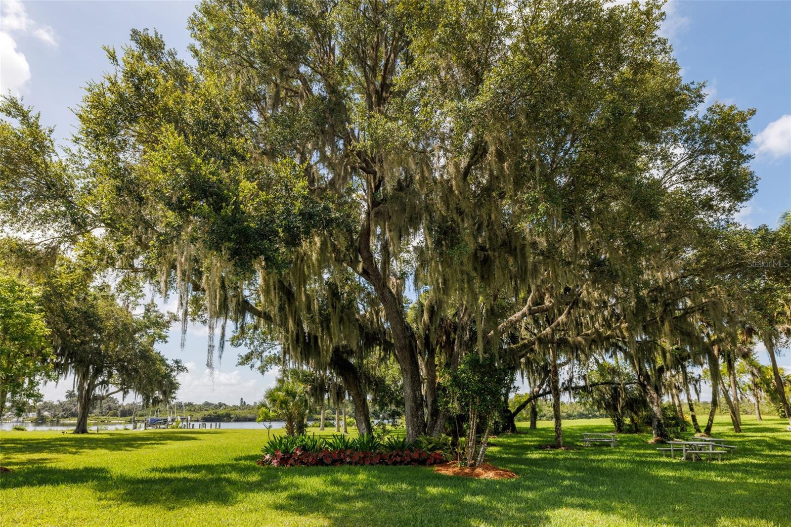 DUKE HWY - Residential