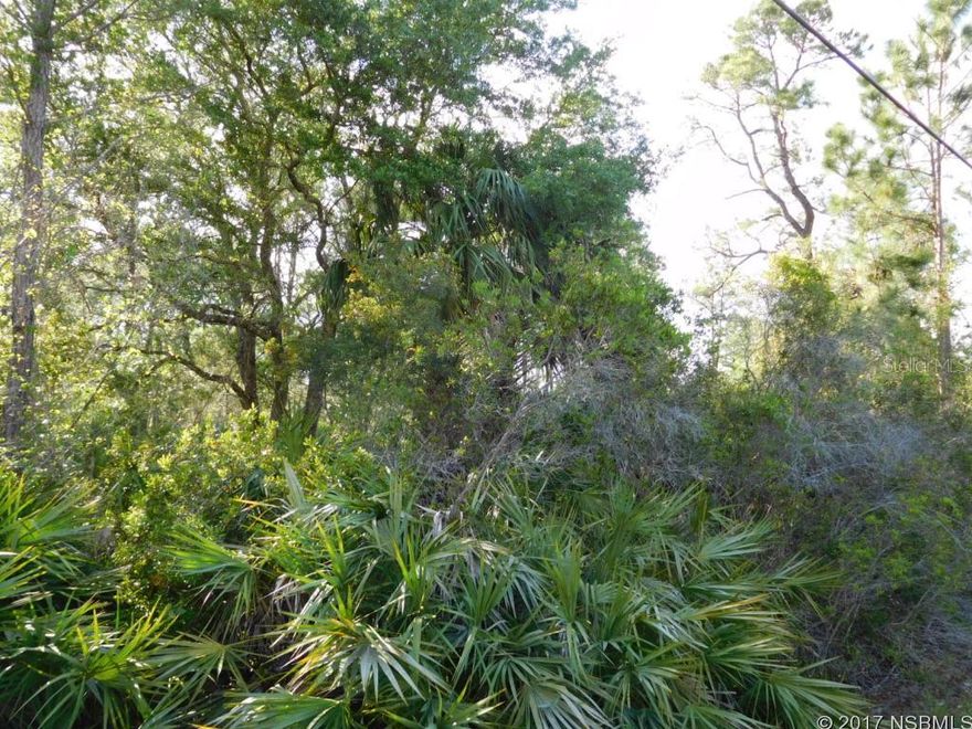 A piece of natural Florida ready for you to create your dream. Almost 5 acres with a mixture of palms, pines, palmetto and oaks.; Cleared: No ;Water: Holding Tank