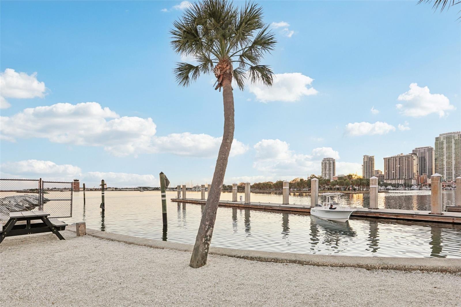 ORION BLDG CONDO THE - Residential