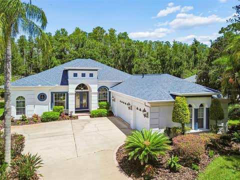 Photo of 21105 Lake Vienna Drive, Land O Lakes, FL 34638 (MLS # O6430758)