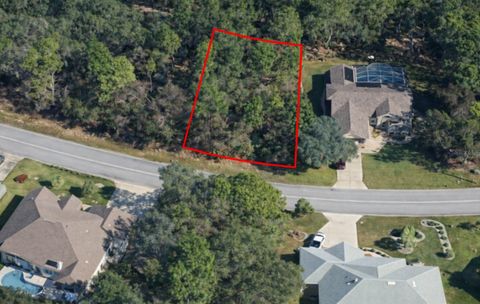 Tiny photo for 17 Speceberry Circle, Homosassa, FL 34446 (MLS # O6395288)