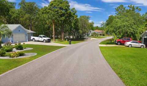Tiny photo for 17 Speceberry Circle, Homosassa, FL 34446 (MLS # O6395288)