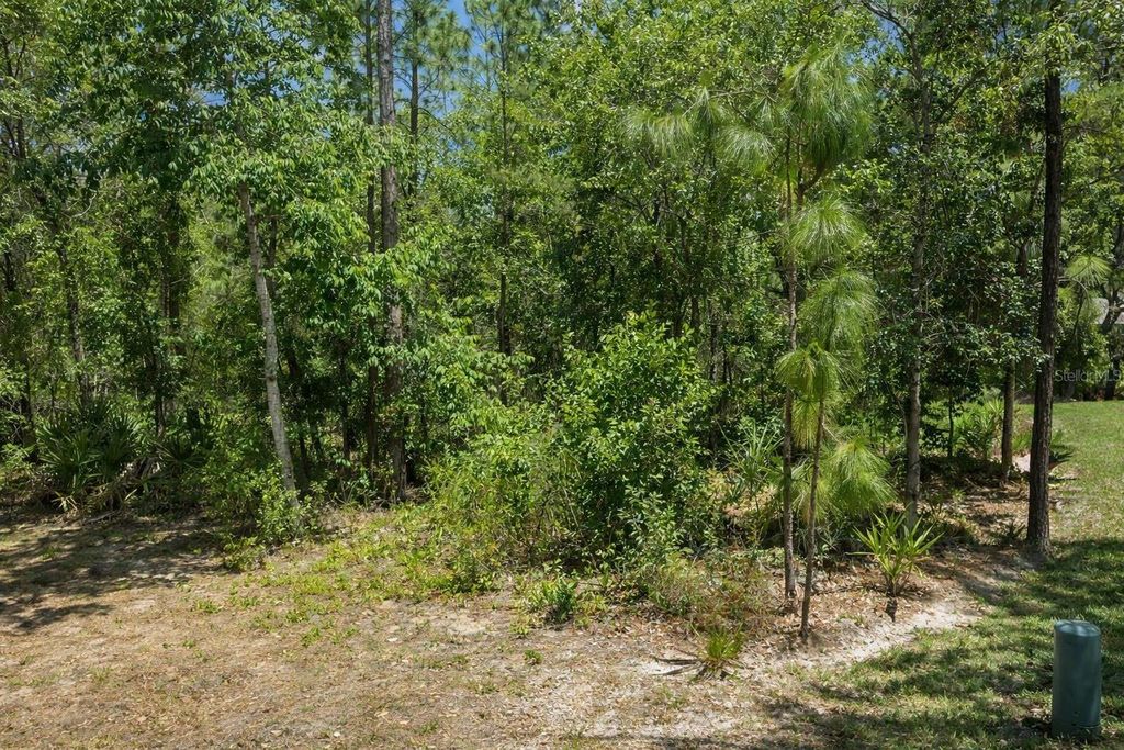 Photo of 17 Speceberry Circle, Homosassa, FL 34446 (MLS # O6395288)