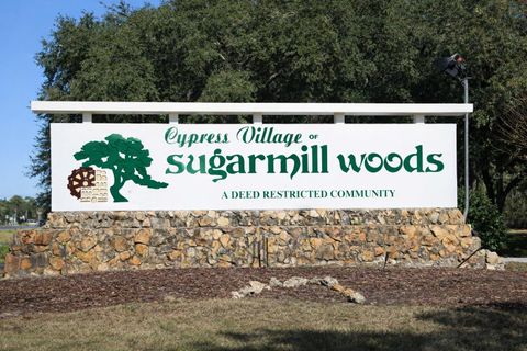 Tiny photo for 17 Speceberry Circle, Homosassa, FL 34446 (MLS # O6395288)