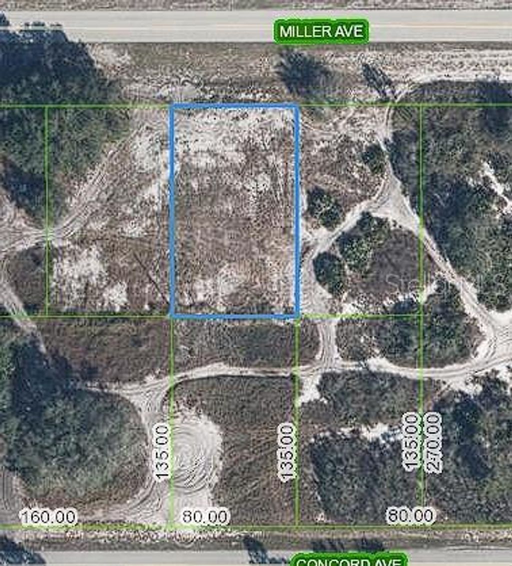 Photo of 3112 Miller Avenue, Lake Placid, FL 33852 (MLS # TB8526654)