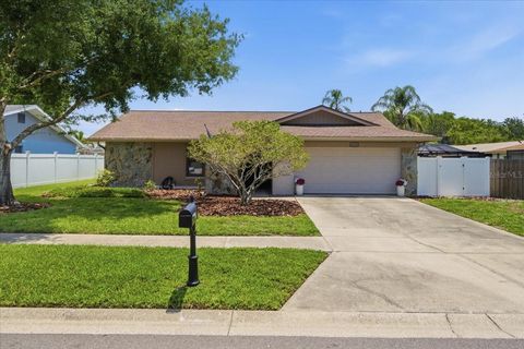 Photo of 4218 Hollowtrail Drive, Tampa, FL 33624 (MLS # TB8512722)