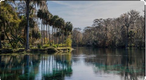 Tiny photo for 2853 NE 104th Terrace, Silver Springs, FL 34488 (MLS # O6409716)