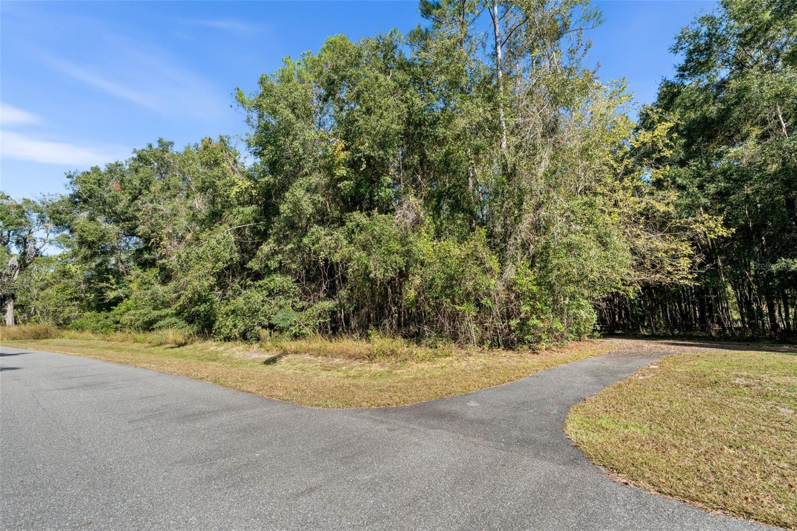 DYLANS GROVE PH 1 - Land