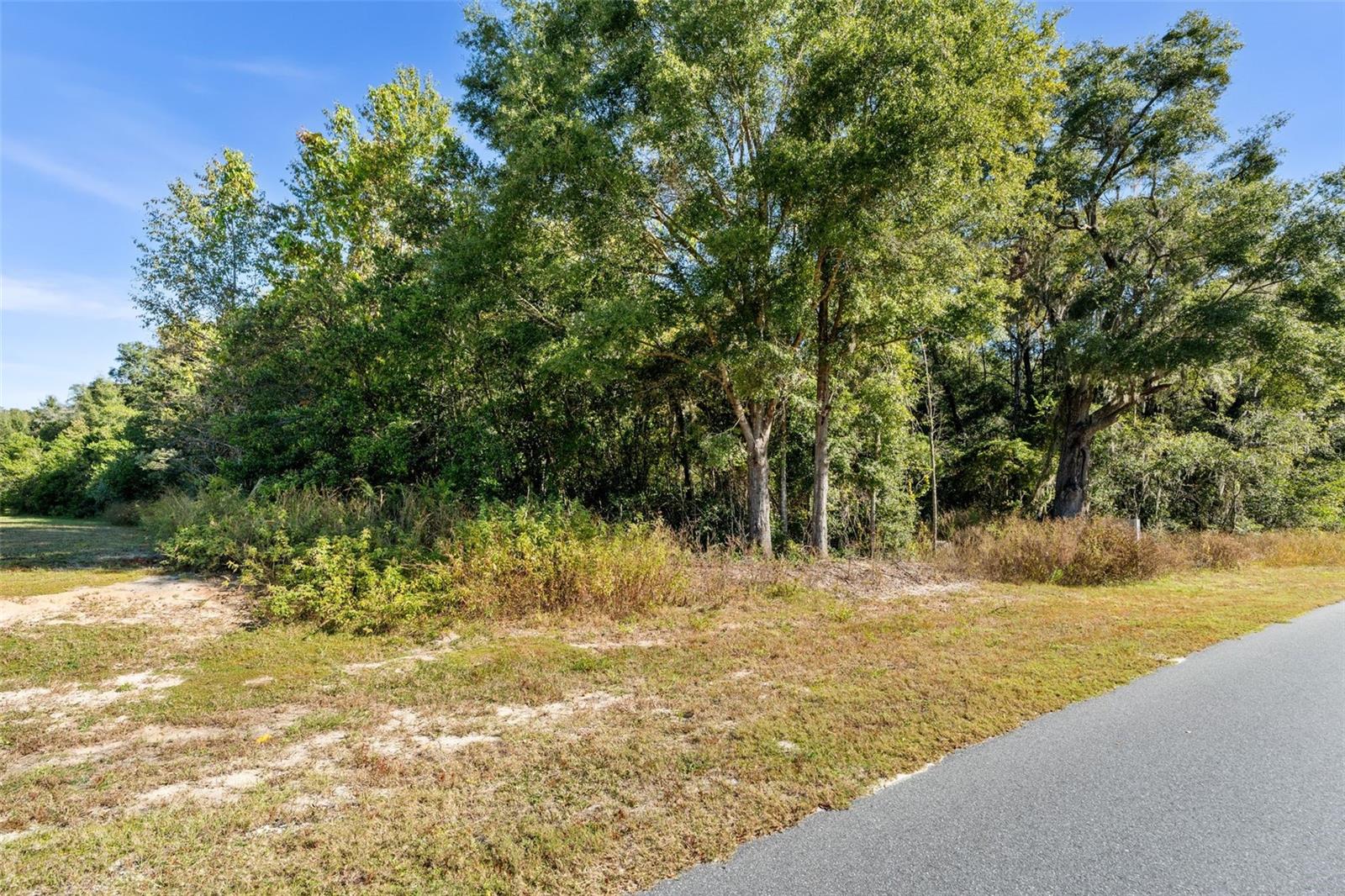 DYLANS GROVE PH 1 - Land