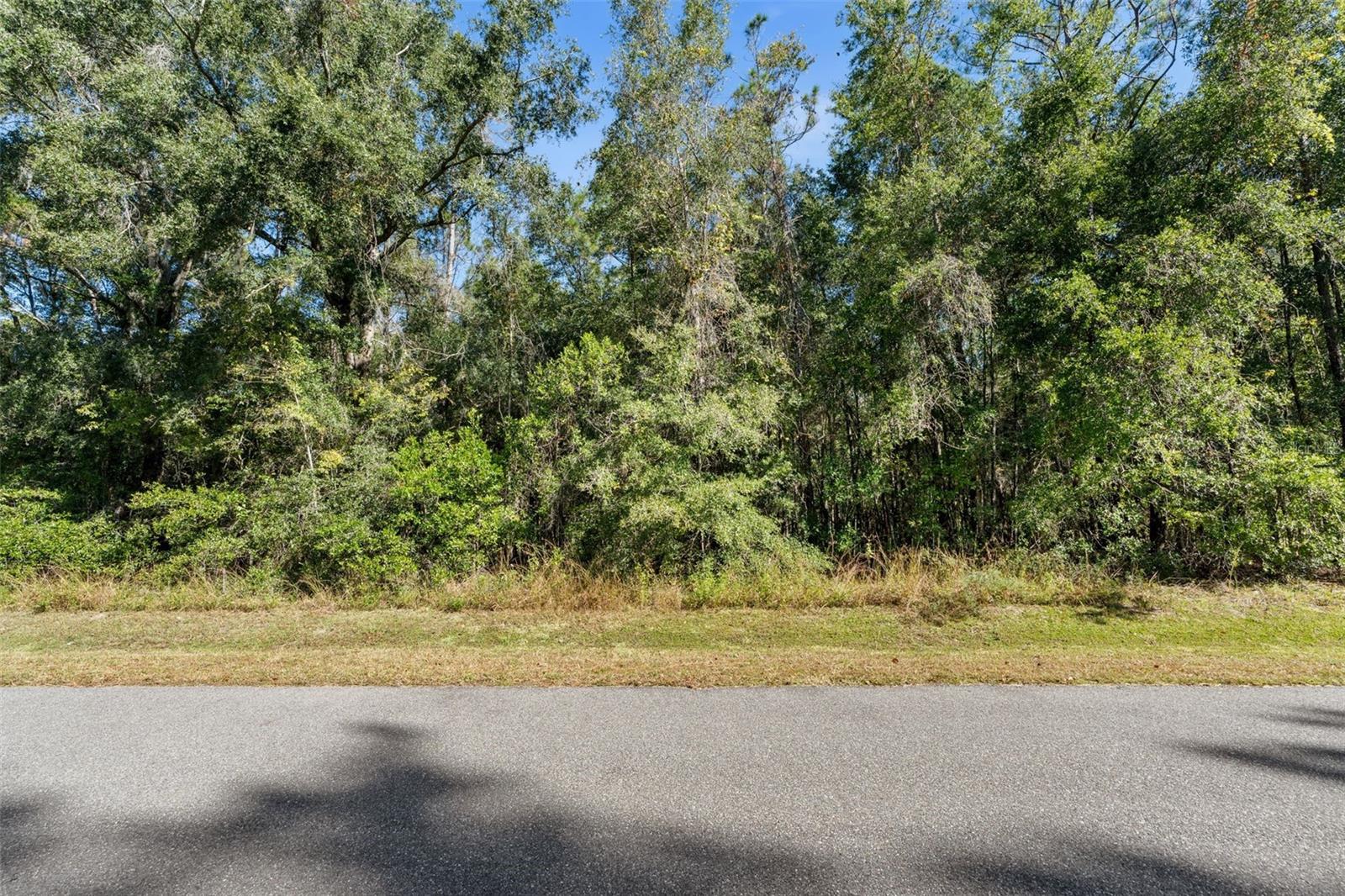 DYLANS GROVE PH 1 - Land