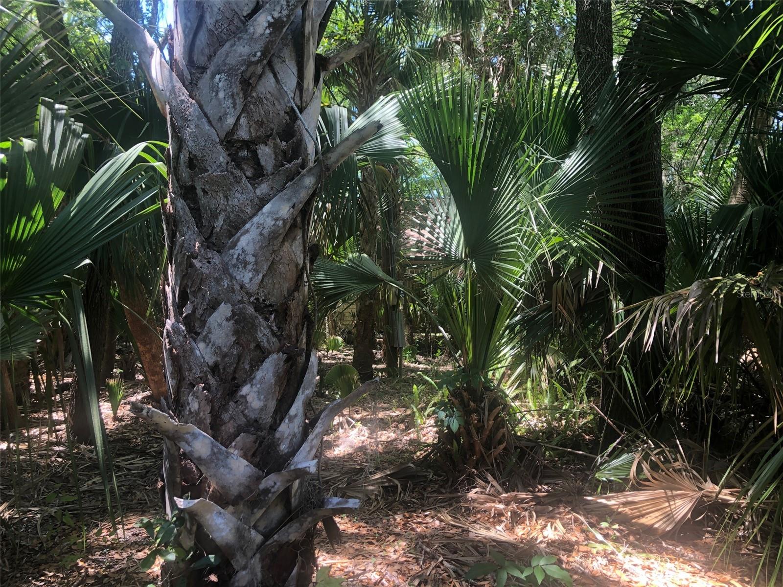 WEKIVA HIGHLANDS - Land