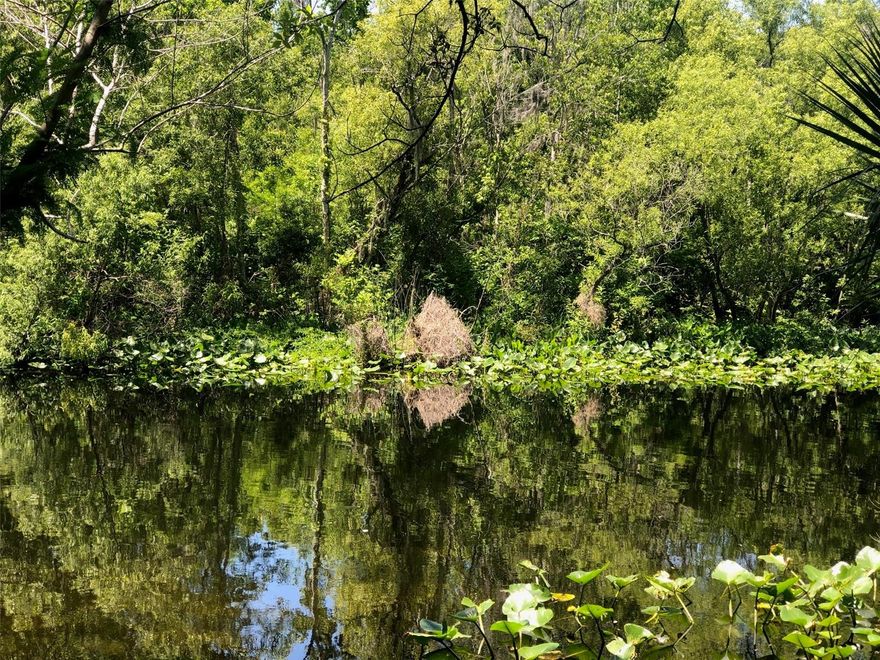Escape to your own private retreat with this nearly one-acre Wekiva River waterfront lot. Boasting 190 feet of river frontage and canal frontage on two other sides, this property offers peaceful surroundings, abundant natural beauty, and spectacular sunset views. A truly special opportunity to create a custom home in a serene environment! Please request a copy of the Lot Research Request compiled by Seminole County Planning and Development with pertinent information about this unique property!