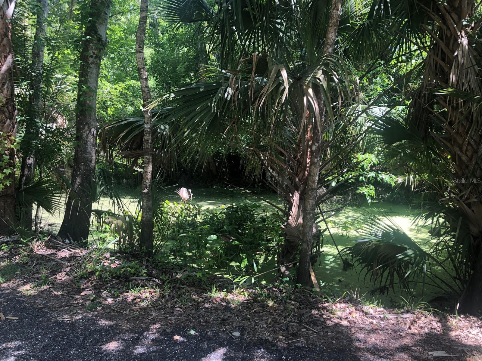 WEKIVA HIGHLANDS - Land