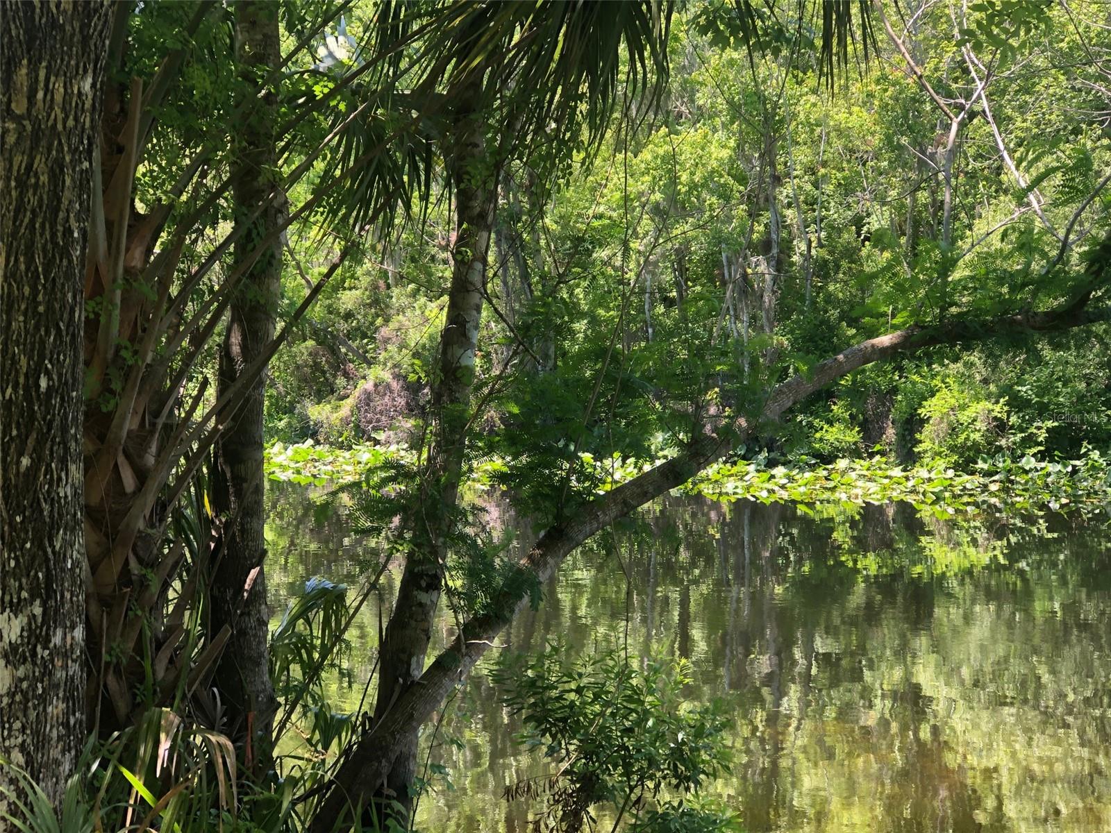 WEKIVA HIGHLANDS - Land