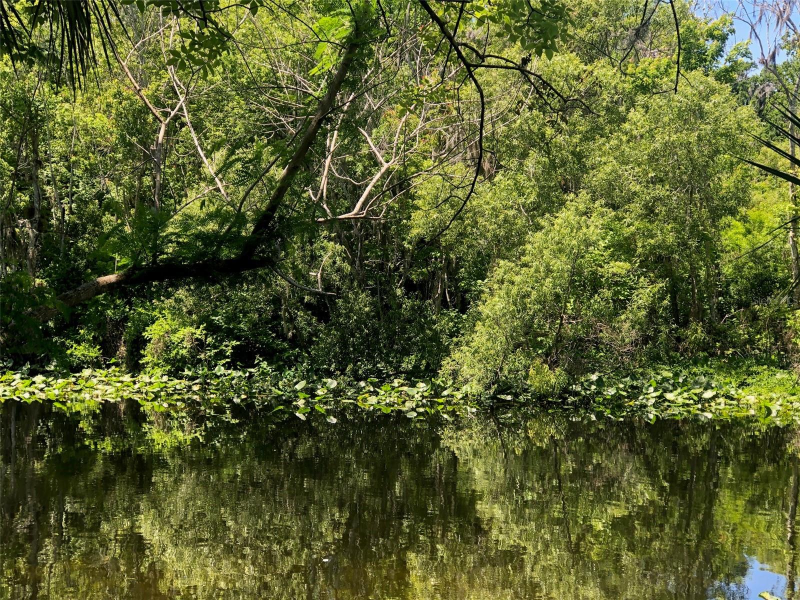 WEKIVA HIGHLANDS - Land