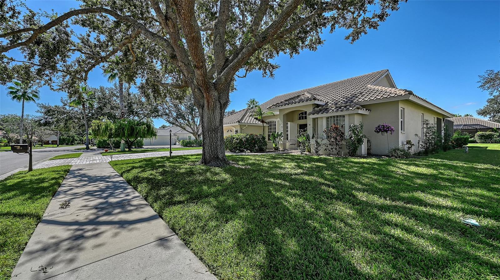 PRESERVE AT MISTY CREEK EAGLES WATCH - Residential