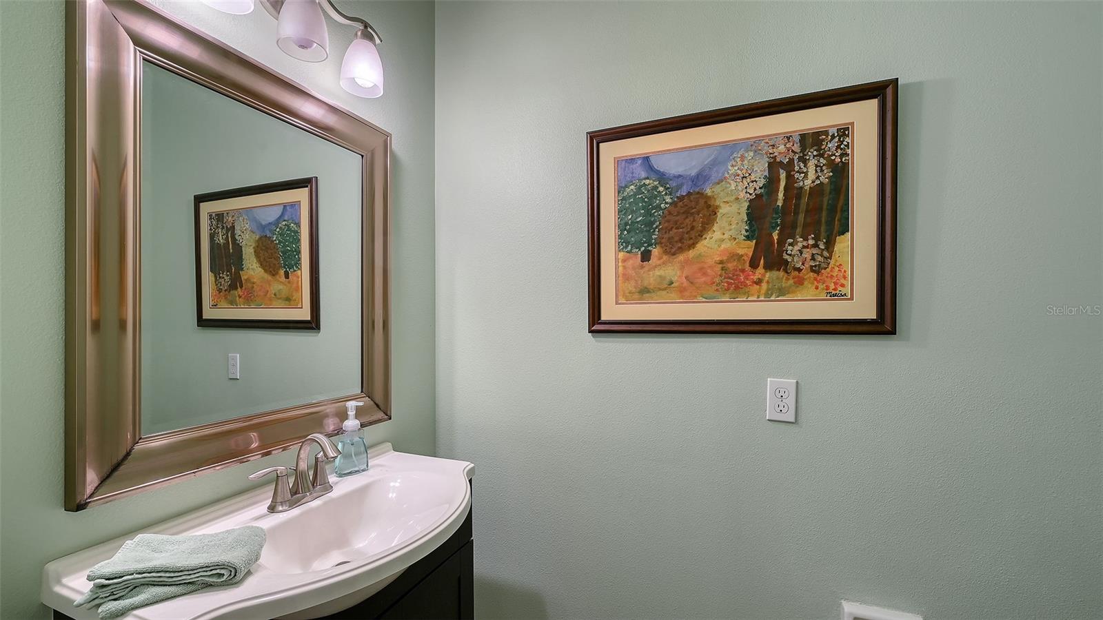 PRESERVE AT MISTY CREEK EAGLES WATCH - Residential