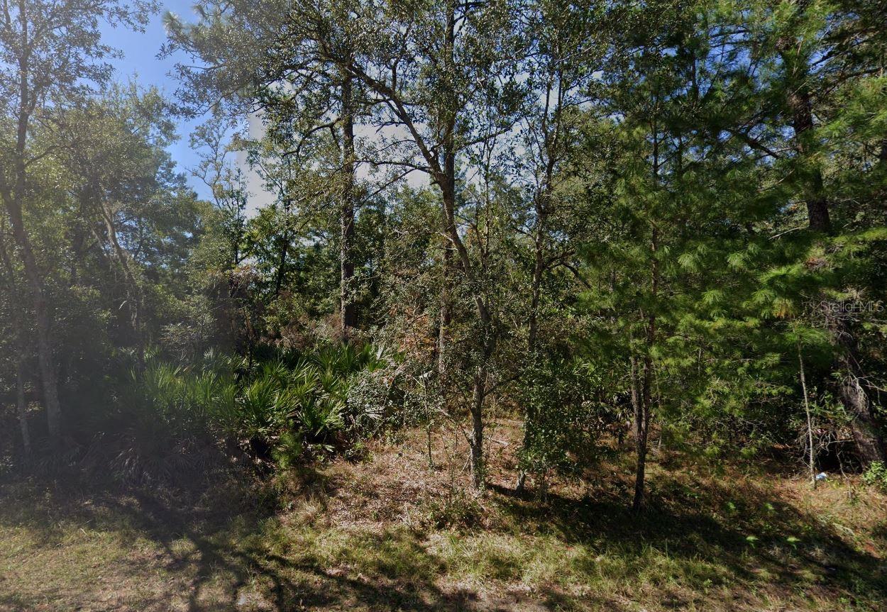 Build your dream home or secure a smart investment on this 0.26-acre corner lot Interlachen, Putnam County! This lot is zoned R-2, perfect for a single-family home or mobile home. Utilities are nearby, and there’s no HOA or flood zone to worry about. Enjoy a peaceful setting while being just minutes from local amenities and nearby towns. Whether you’re ready to build now or looking to hold this property as a long-term investment, this affordable lot offers flexibility and future growth potential in a welcoming Florida community.