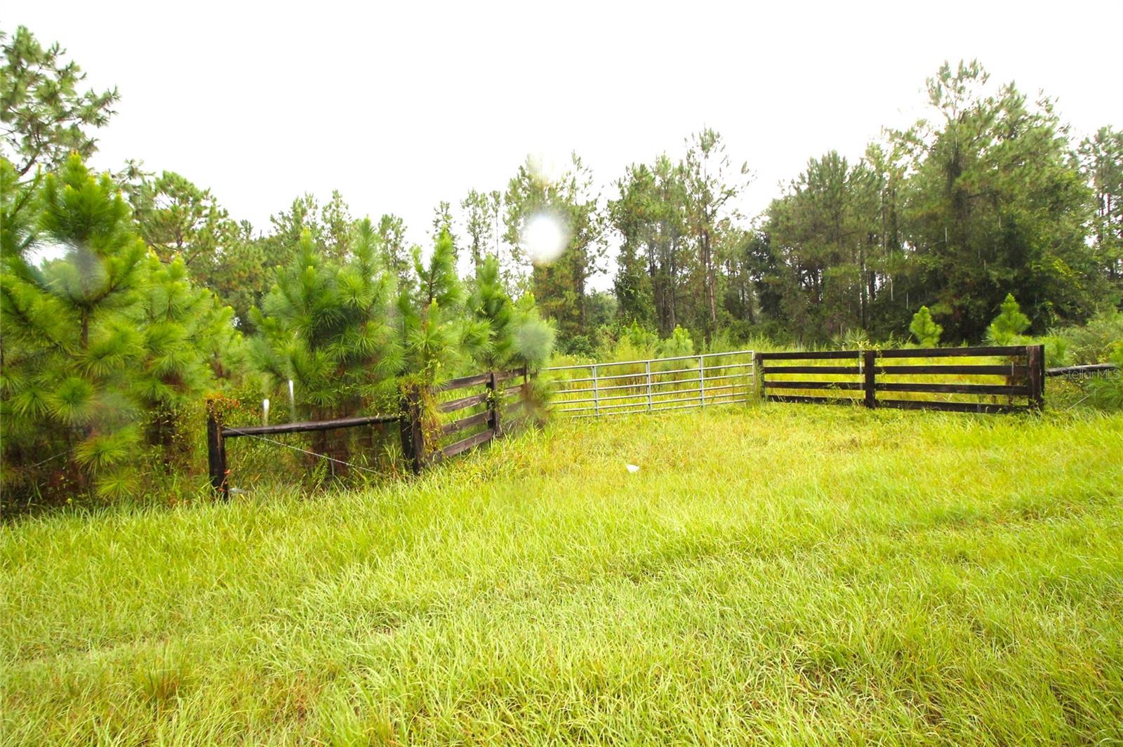Under contract-accepting backup offers. 5-Acre Country Homesite in Rural West Lake County
Bring your horses, cows, chickens, or other livestock! This 5-acre agricultural homesite offers the perfect setting for country living with 265 feet of paved road frontage. Most of the property is naturally wooded—providing plenty of shade and a private setting. Surrounded by cattle operations, open land, and 5- to 10-acre ranchettes, the property combines peaceful seclusion with wide-open country views. Zoned Agriculture (A), the land allows for livestock and farming, and—subject to Lake County approval—a manufactured home could be placed on the site. Please note, a portion of the lot lies within the 100-year flood zone. With its versatile use options and rural charm, this property is ideal for those seeking a country lifestyle.