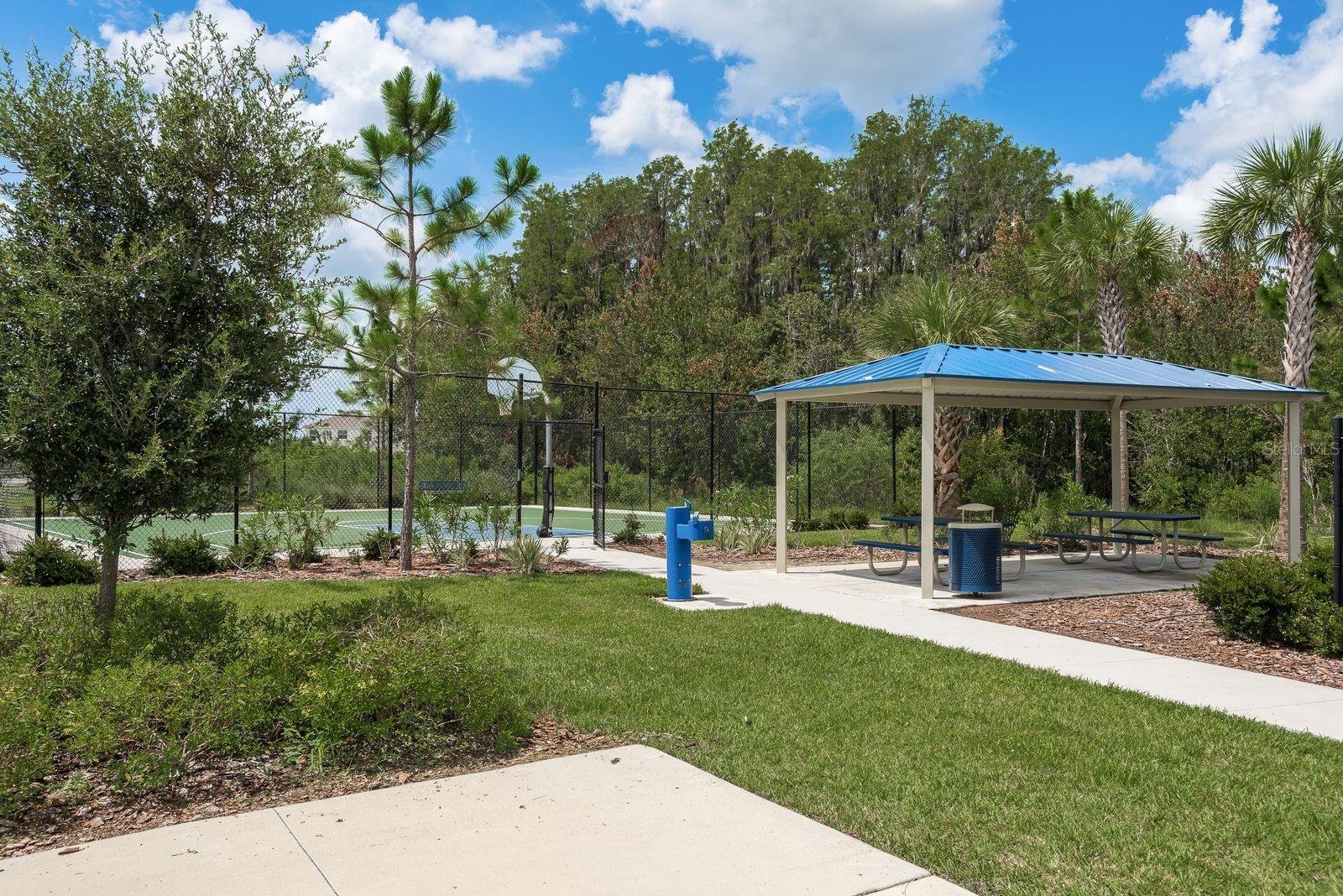 SOUTH BRANCH PRESERVE PH 2B & - Residential