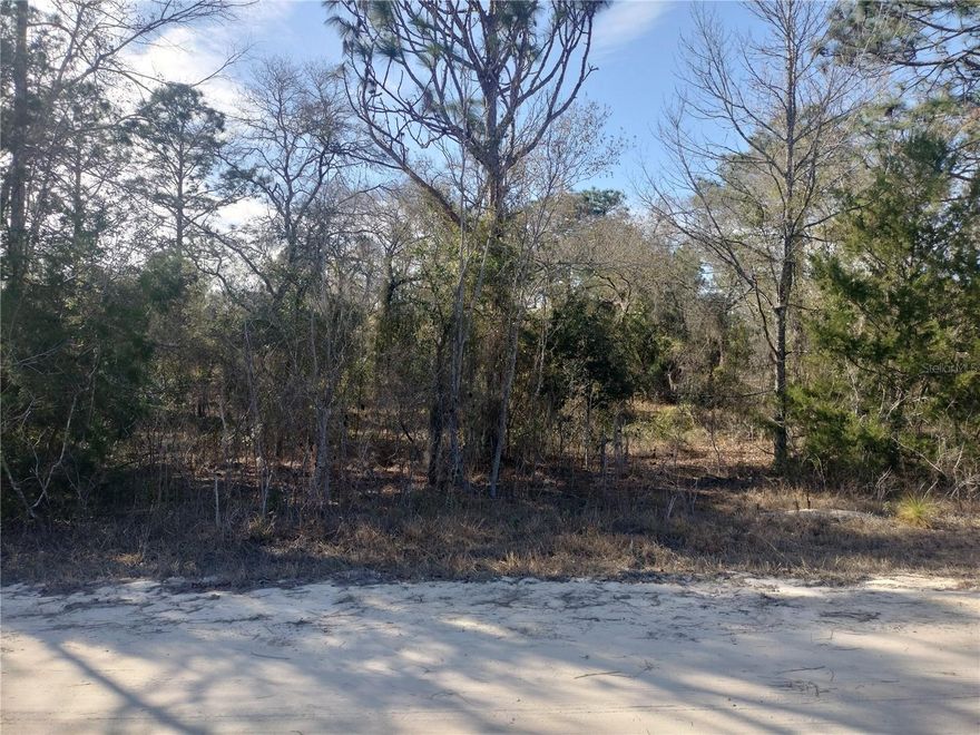 Discover the perfect opportunity to build your vision on this spacious 1.25-acre vacant lot, offering the ideal blend of privacy, open space, and future potential. Whether you're planning a custom home, a small homestead, or an investment project, this property provides a versatile canvas in a peaceful setting.

Two additional parcels are also available for purchase (OM717145 and OM717150), giving you the option to expand your footprint or create a multi-parcel development. With ample room for outbuildings, gardens, recreational space, or additional structures, the possibilities are wide open.

Enjoy the freedom of rural living while still being within convenient reach of local amenities, nearby parks, natural springs, and outdoor attractions. Don’t miss this chance to secure a generous piece of land with even more room to grow. No HOA or deed restrictions.