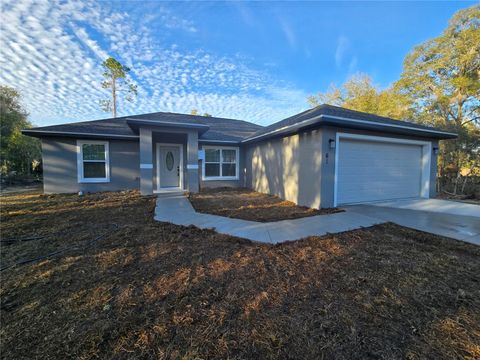 61 LOCUST RUN OCALA FL 34472