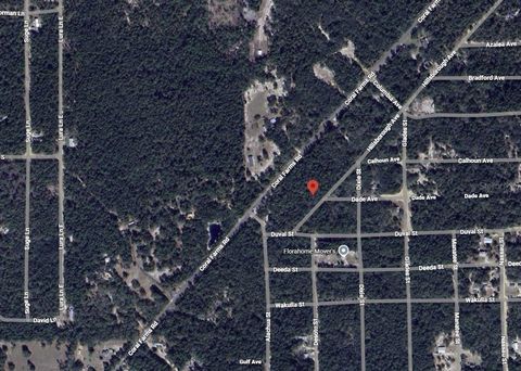 108 W HILLSBOROUGH AVENUE FLORAHOME FL 32140